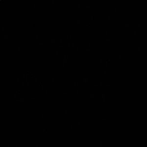 Meet your Posher, Tonii